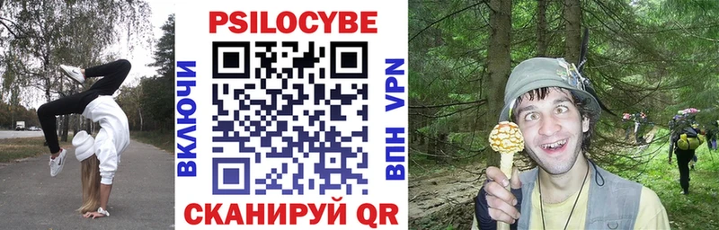 Галлюциногенные грибы GOLDEN TEACHER  ссылка на мегу вход  Новый Оскол 